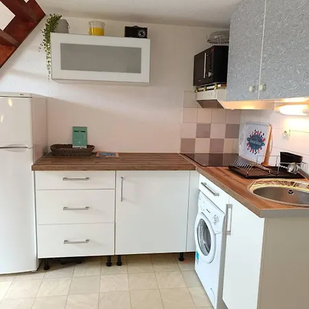 Pavillon De Climatise Avec Parking Privatif - 6cyc118 Saint-Cyprien (Pyrenees-Orientales)